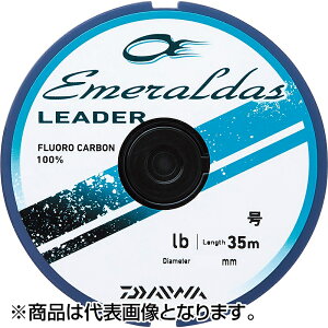 _C(DAIWA) G_X[_[ 35m 1.75 i`O[ [tJ[{]