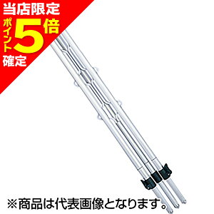 yXP5{mzꐸH(DAIICHISEIKO) T[tOrW 2 Ɨ bhX^h