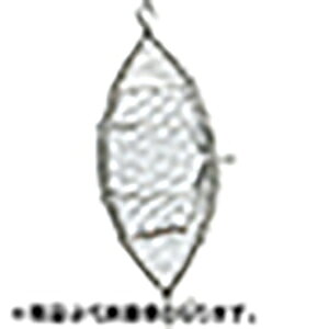 lc XeAhJS (o) 6mmז AGT200-M