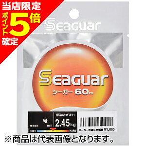 yXP5{mzV[K[(Seaguar) V[K[ 60mPi 8 NA [tJ[{]