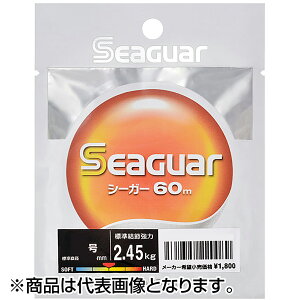 V[K[(Seaguar) V[K[ 60mPi 16 NA [tJ[{]