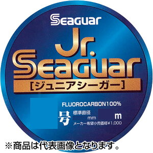 V[K[(Seaguar) Jr.V[K[ 50m 2 NA [tJ[{]
