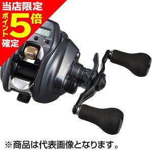 yXP5{mz_C(DAIWA) d[ V[{[O 100J