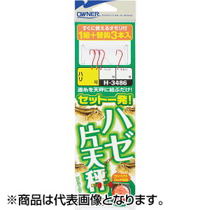 I[i[(OWNER) n[ГV1g 10 33486