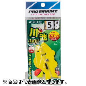 lc rd|Zbg 5 ASK002-2.7