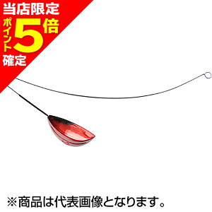 yXP5{mznuT(Hayabusa) CgVbg V X}bVvX 10 ztbVbh P174