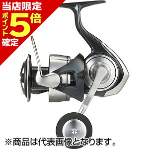 yXP5{mz_C(DAIWA) 24 Ze[g SW 6000-H