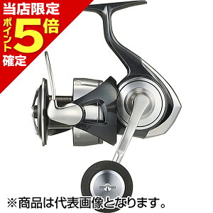 【当店限定P5倍確定】ダイワ(DAIWA) 24 セルテート SW 6000-XH