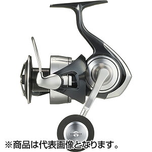 ダイワ(DAIWA) 24 セルテート SW 6000-H
