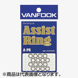 ���@���t�b�N(VANFOOK) �A�V�X�g�����O #L �V���o�[ A-PR