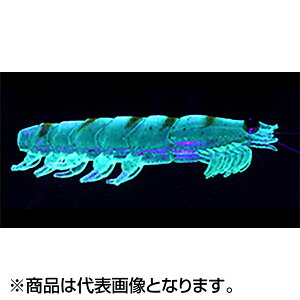 �_�C��(DAIWA) ���A���I�L�A�~���[�� �^�t 3L 58mm UV�O���[�����I�L�A�~