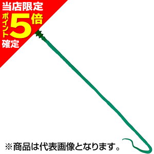 【当店限定P5倍確定】ジャッカル(JACKALL) ビンビンワームネクタイ カールフィネス ダークグリーン