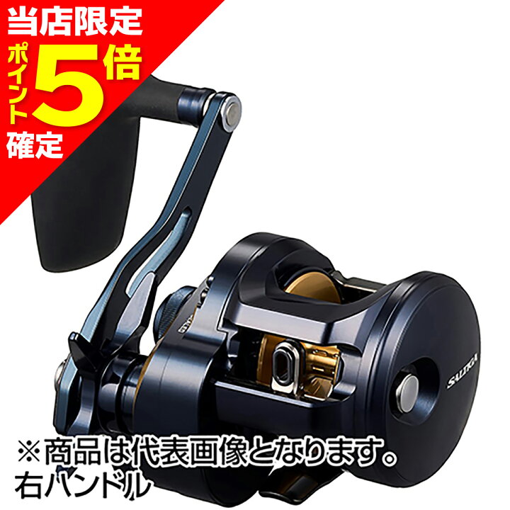 楽天市場】【当店限定P5倍確定】ダイワ(DAIWA) 25 ソルティガ 300H 右 