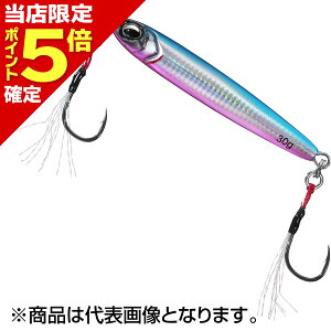 yXP5{mz_C(DAIWA) TCWOR X[tH[ 30g us