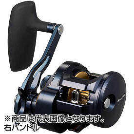 ダイワ(DAIWA) 25 ソルティガ 300H 右ハンドル