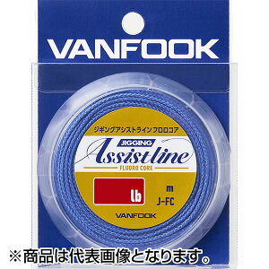 ���@���t�b�N(VANFOOK) �W�M���O�A�V�X�g���C���E�t�����R�A 80lb 5m �u���[ J-FC [�t�����J�[�{��]