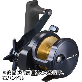 ダイワ(DAIWA) 25 ソルティガ 35H 右ハンドル