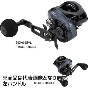�e�C���E�H�[�N(tailwalk) �G���� ���C�h�p���[BM 300XG-DP/L [���n���h��]