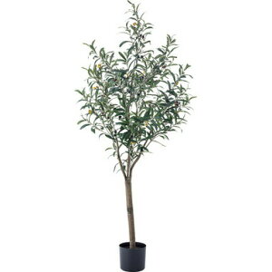 AZUMAYA(J) tFCNO[ Xe/~jpCibv/AKx/hZi/NYC/I[ubGRN-11bGRN-12bGRN-13bGRN-14bGRN-15bGRN-16bGRN-17