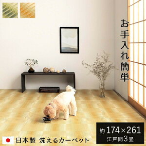 y[J[zCPqR 􂦂 O ` |vs { ۃXv[Ή O[ ]ˊ3 174×261cmb1090580121002