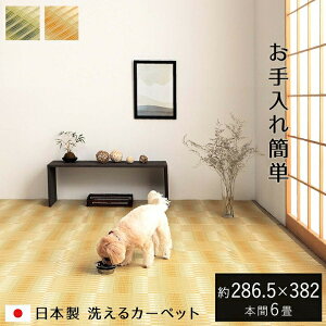 y[J[zCPqR 􂦂 O ` |vs ۃXv[Ή { ~l O[ {6 286.5×382cmb1090580121902