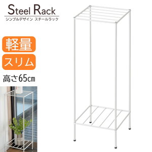 AZUMAYA(���J) �X�`�[�����b�N 2�i ����65cm �y�� �R���p�N�g �X�`�[���� �g���� W22×D22×H65cm �_�[�N�O���[/�z���C�g �S2�F �P�i�bMIP-11DGY�bMIP-11WH