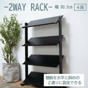 AZUMAYA(J) bN 2WAY (IF/΂) I4i AWX^[t X`[ ubNbDIS-74BK