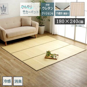 y[J[zCPqR | J[ybg t[O ⊴ ėp ރE^ NbV sDz h~ R hL L AC{[ 180×240cmb1100280144622