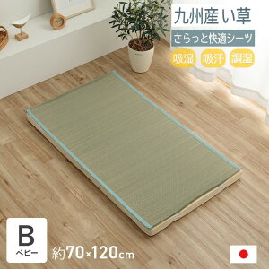 y[J[zCPqR V[c xr[ 120 ėp  y { z z  L u[ 70×120cmb1122920043001