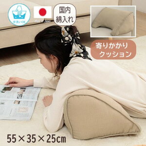 y[J[zCPqR OpNbV 􂦂 􂢉 { ȓ G 肩  Đ@ێgp n lCr[/x[W/uE S3F 55×35×25cm u[vv