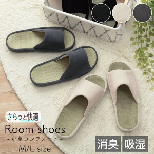 y[J[zCPqR Xbp Y fB[X L z   O RtH[g M/L S2TCY ubN/AC{[/O[ S3J[ uXAuv