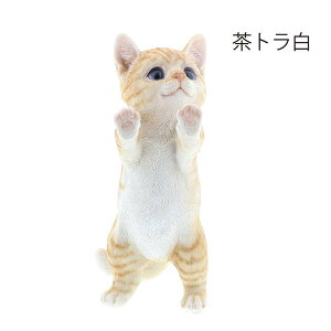 y݌ɂzxj[YLbg/̊O𒭂߂Ă܂igj