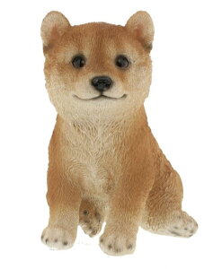 y݌ɂz׃j[Y/ Vo iԎ ǂj