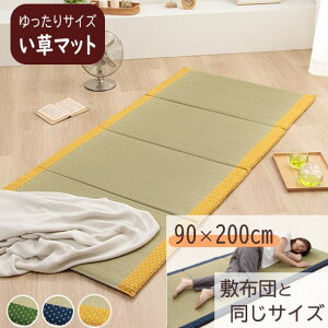 y[J[zCPqR Q}bg lp  4܂ RpNg[ ݖ2cm ތŖ R hL L z   { BYgp O[/lCr[/CG[ S3F 