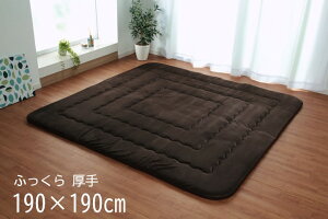 y[J[zCPqR O `  Չ LL-30 { ȓ YŖ40mm }CNt@Co[ uE 190×190cmb1161700060809