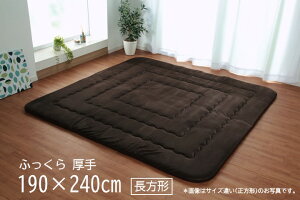 y[J[zCPqR O `  Չ LL-30 { ȓ YŖ40mm }CNt@Co[ uE 190×240cmb1161700060909