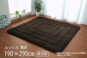 y[J[zCPqR O `  Չ LL-30 { ȓ YŖ40mm }CNt@Co[ uE 190×290cmb1161700061109