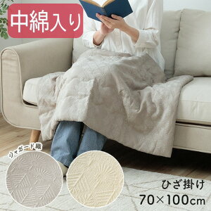 y[J[zCPqR Ђ| ȓ 􂦂 @ WK[hD \nȍn n100% I[V[Y ^|| ` 70×100cm O[/AC{[ S2F u}XNXv