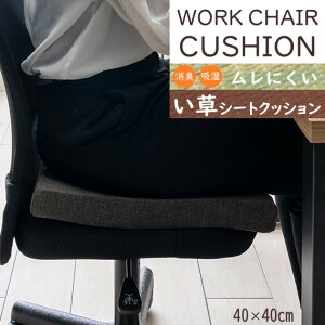 y[J[zCPqR V[gNbV ֎q  L  z  E^ n ubN 40×40cm ` Y݉NbVV[YutB[Xv