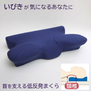 yʌzy݌ɂzCPqR  ᔽ ̈U т 􂦂Jo[ lCr[ 64×35b1193440372416