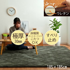 yʌzy݌ɂzCPqR O ` {[^Cv Ɍ h Չ g[Ή zbgJ[ybgΉ Ή n~ ރE^30mm R[fC O[