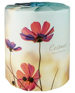 RXX1[@100Zbg@@ ii ei gCbgy[p[ gCbg[ gC ܂Ƃߔ    mxeB Cxgp ei ̑p ʔ Ɩp Vv 