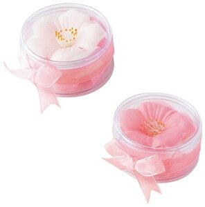 tMtg  t[\[v@144Zbg@@  TN v`Mtg ii  Ԃ̃Mtg @l V w  搶 v[g Ǝ ސE ʉ ʂ