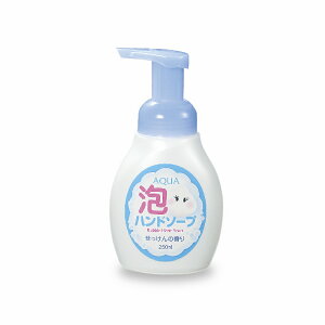 アクア泡ハンドソープ 250ml 144個セット  ウィルス対策 予防グッズ 衛生用品 ギフト 激安 敬老会 プレゼント イベント