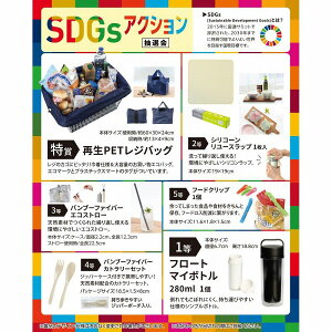 SDGsANVI30lp@@iiZbg rSii  񎟉 I St Ry StRy  Ղ Cxg