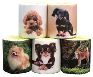 1[ 5A\[g@100Zbg@@ ii ei gCbgy[p[ gCbg[ gC ܂Ƃߔ    mxeB Cxgp ei ̑p ʔ Ɩp V