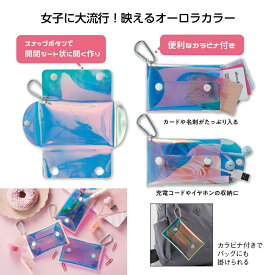 シャイニング オーロラポーチ　　　小物入れ かわいい おしゃれ コンパクト 収納 整理 バッグインバッグ