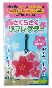 tMtg 炳 tN^[@480Zbg@@  TN v`Mtg ii  Ԃ̃Mtg @l V w  搶 v[g Ǝ ސE ʉ ʂ