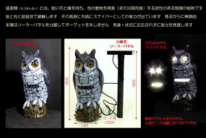 bXiCp[@@悯 g   悹Ȃ  Q Aj}K[fBA Qb ǂ  \[[ z pl b  쒹 ΍   x_   