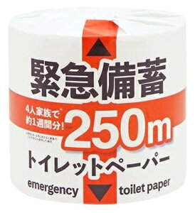 ً}~ 250m 1[@144Zbg@@@ ii ei gCbgy[p[ gCbg[ gC ܂Ƃߔ    mxeB Cxgp ei ̑p ʔ Ɩp V